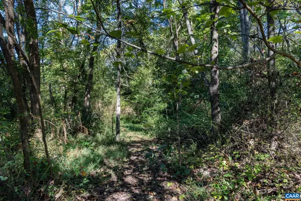 Pratts, VA 22731,ORANGE RD