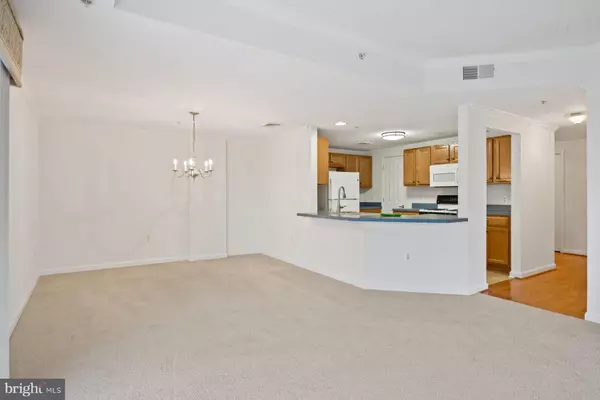 Severna Park, MD 21146,604 MCKINSEY PARK DR #402