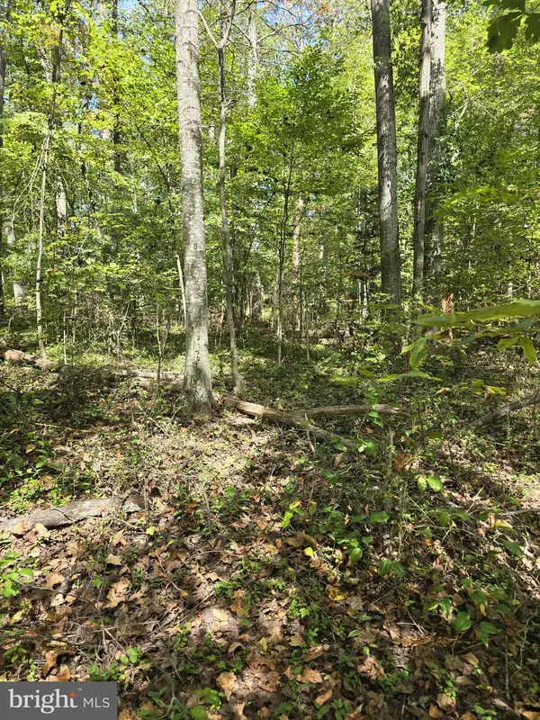 Madison, VA 22727,POORHOUSE RD