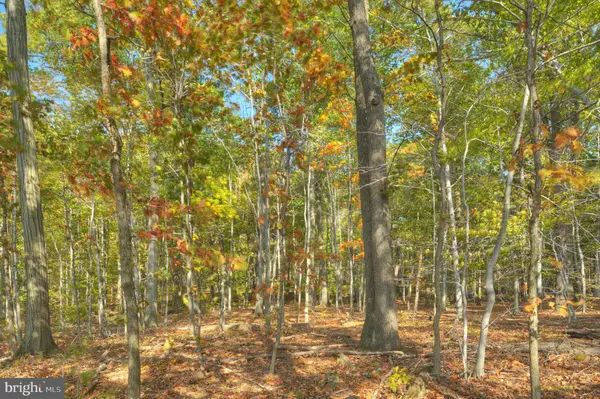 Skillman, NJ 08558,0 MOUNTAIN VIEW