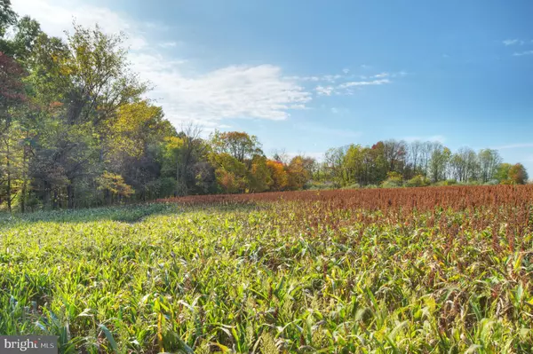 0 MOUNTAIN VIEW, Skillman, NJ 08558