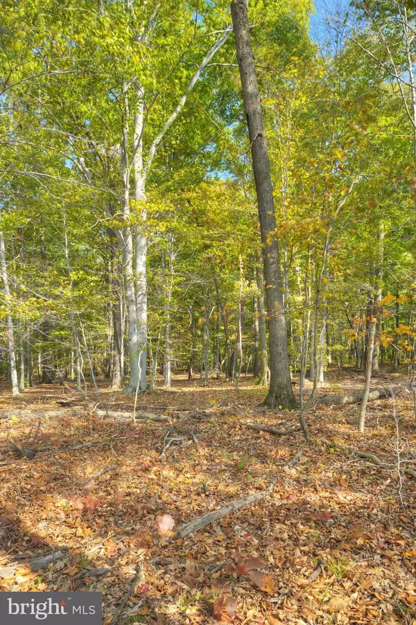 Skillman, NJ 08558,0 MOUNTAIN VIEW