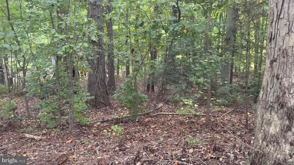 Temple Hills, MD 20748,Address not disclosed