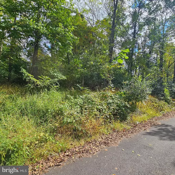 Front Royal, VA 22630,PANORAMIC LN