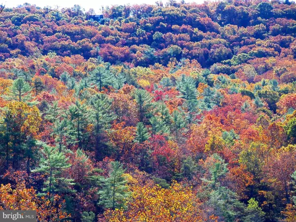 Basye, VA 22810,426-30A THE HILL RD RD #L-30