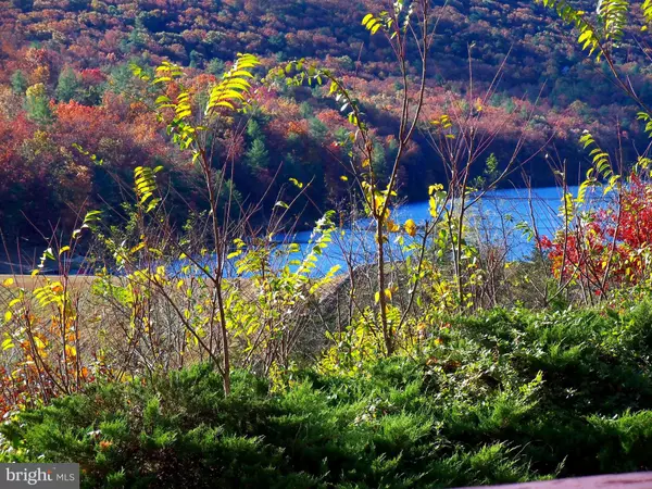 Basye, VA 22810,426-30A THE HILL RD RD #L-30