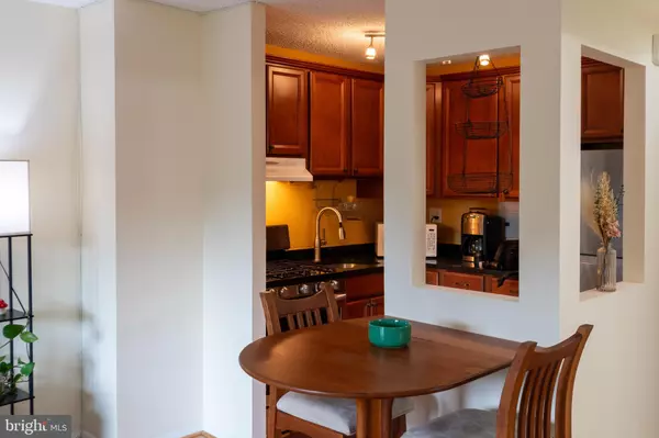 Alexandria, VA 22302,1225 MARTHA CUSTIS DR #502