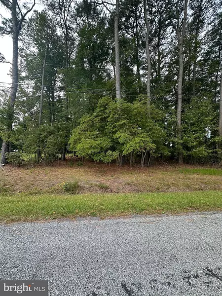 32130 LYNCH, Selbyville, DE 19975