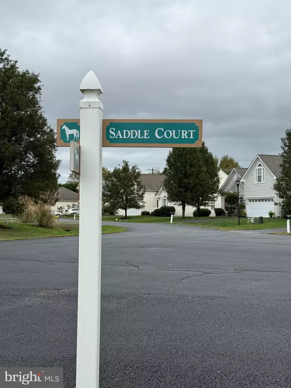 Rehoboth Beach, DE 19971,20332 SADDLE CT