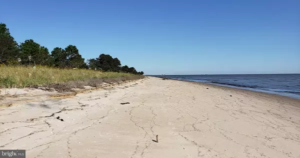 Dover, DE 19901,39 N BAY DR