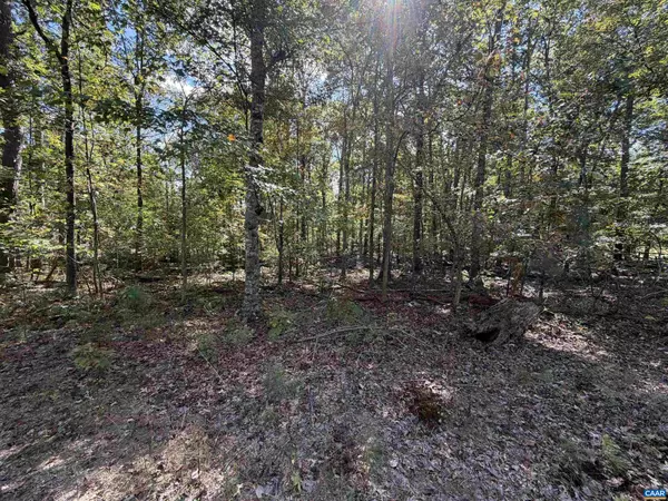 Troy, VA 22974,TBD N BOSTON RD