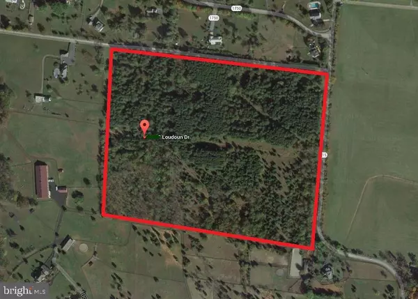 Haymarket, VA 20169,1590 LOUDOUN DR