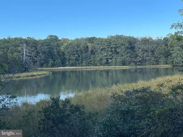 Hague, VA 22469,653 BLACKBEARD POND