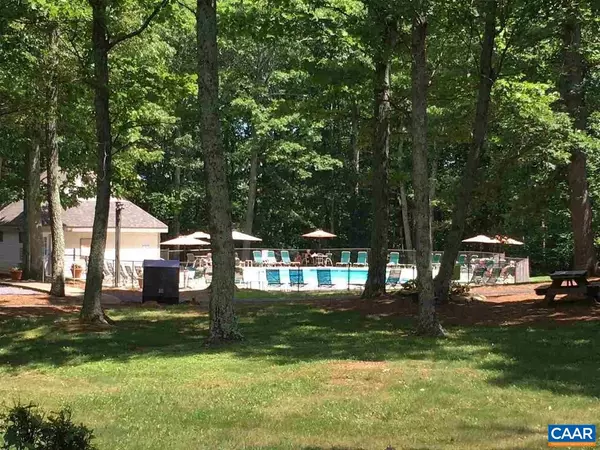 Wintergreen Resort, VA 22967,1025 BLUE RIDGE DR #CHESTNUT SPRINGS LOT