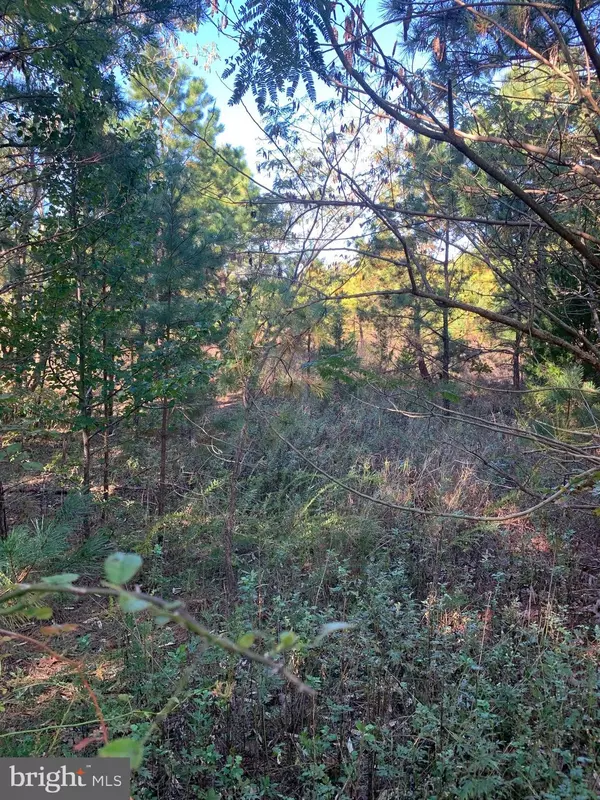 Egg Harbor Township, NJ 08234,3061 TREMONT AVE