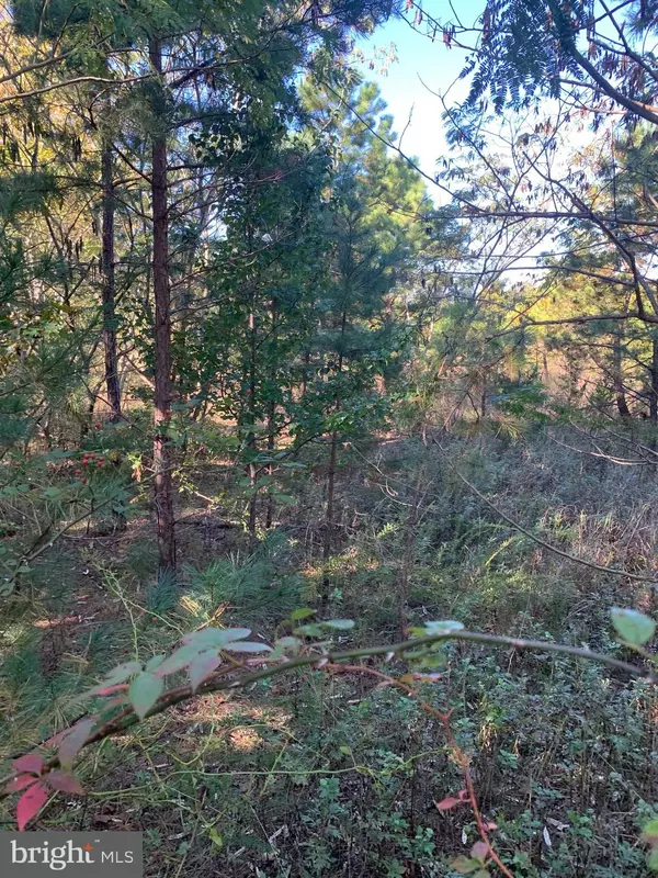 Egg Harbor Township, NJ 08234,3061 TREMONT AVE