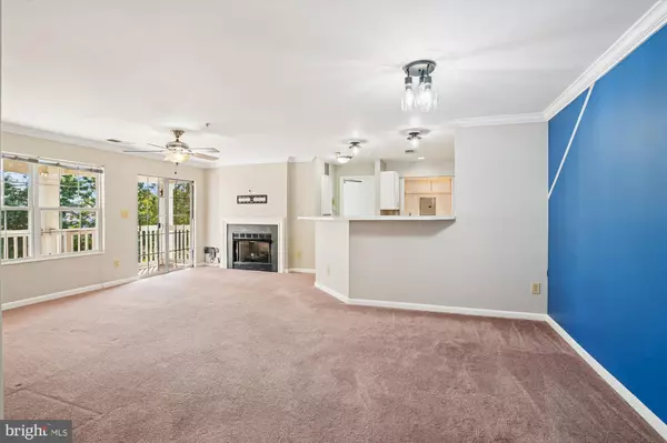 Manassas, VA 20109,11005 KINSHIP CT #303