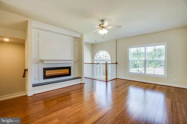 Fredericksburg, VA 22405,20 ANDREWS PLACE