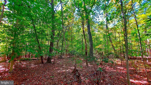 Locust Grove, VA 22508,7C WOODVILLE RD