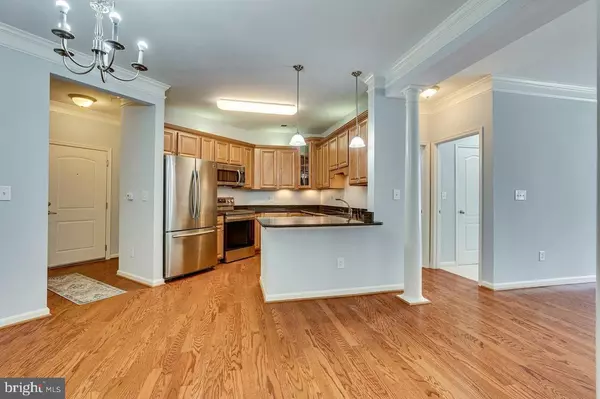 Aldie, VA 20105,24701 BYRNE MEADOW SQ #100