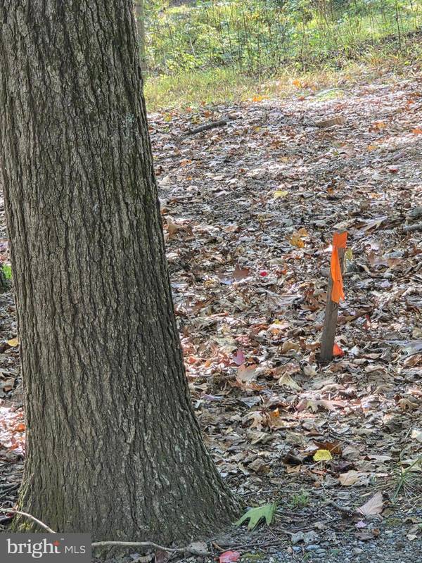 New Windsor, MD 21776,3816-A JIM SMITH LN