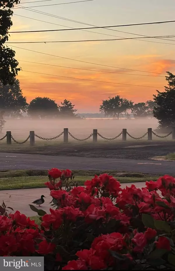 Cambridge, MD 21613,1 SOMERSET AVE