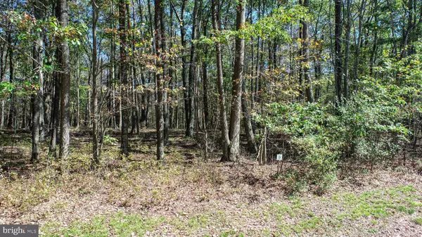 Oakland, MD 21550,19 PHEASANT RUN RD