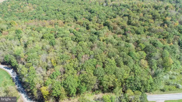 Oakland, MD 21550,19 PHEASANT RUN RD