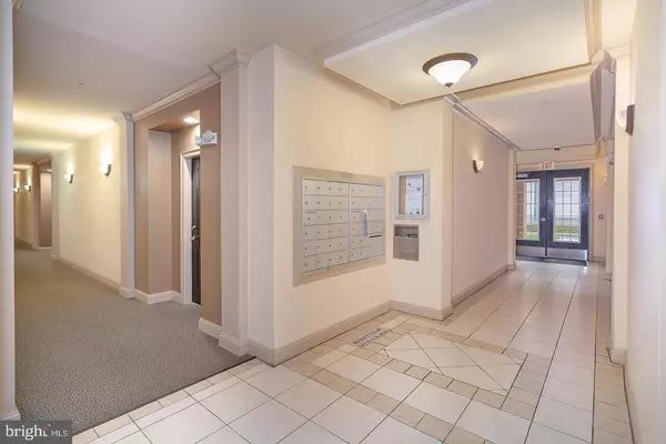 Falls Church, VA 22042,3009 NICOSH CIR #4302