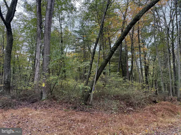 Mount Holly Springs, PA 17065,E LOCUST ST