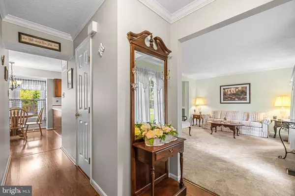 Abingdon, MD 21009,900 HAMBURG DR