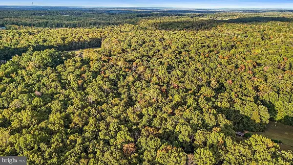 Locust Grove, VA 22508,0 OLD PLANK RD