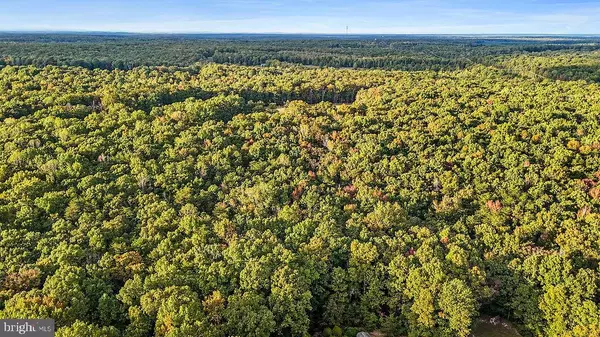 Locust Grove, VA 22508,0 OLD PLANK RD