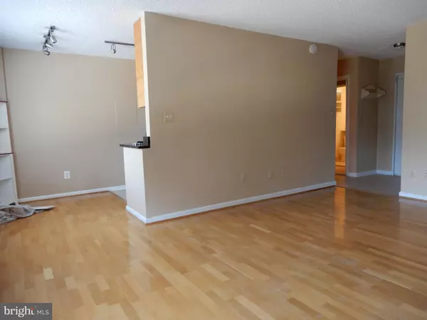 Arlington, VA 22209,1730 ARLINGTON BLVD #209