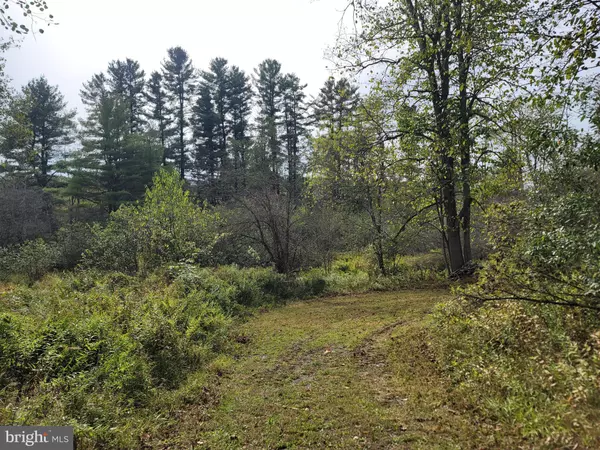 Smokerun, PA 16681,342 FOREST MINE RD