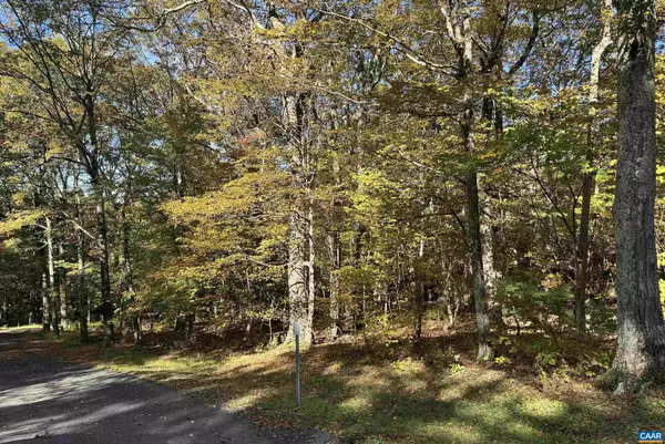 Wintergreen Resort, VA 22967,TBD WINTER WREN LN #20