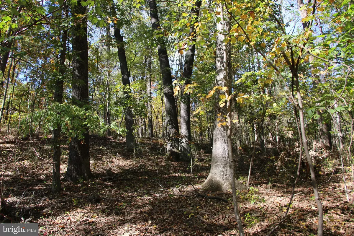 Shenandoah, VA 22849,RIVER VIEW PL