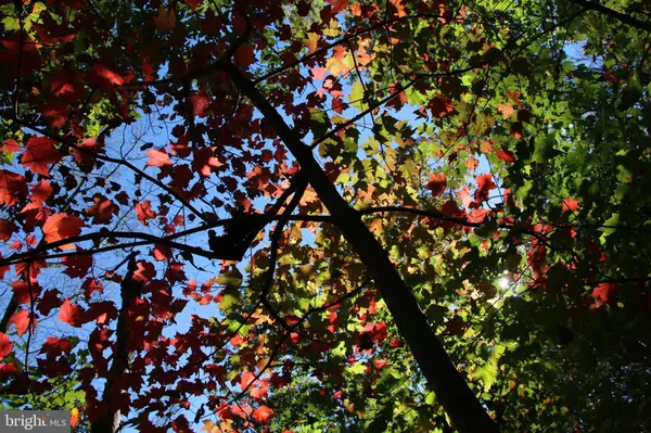 Shenandoah, VA 22849,RIVER VIEW PL