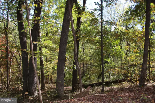 Shenandoah, VA 22849,RIVER VIEW PL