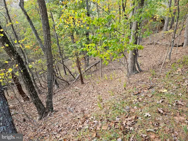 Basye, VA 22810,GREENVIEW