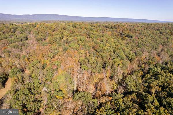 Winchester, VA 22603,LOT 5 SNAKE DR.