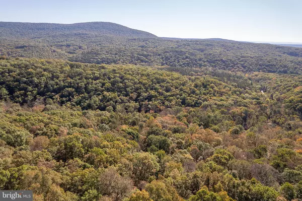 Winchester, VA 22603,LOT 5 SNAKE DR.