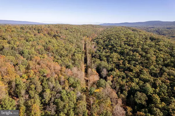 Winchester, VA 22603,LOT 5 SNAKE DR.