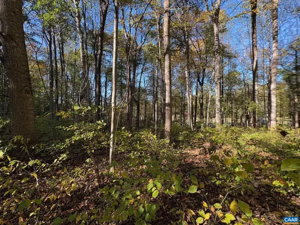 Reva, VA 22735,LOT E, TM 24-30 W HOOVER RD #E