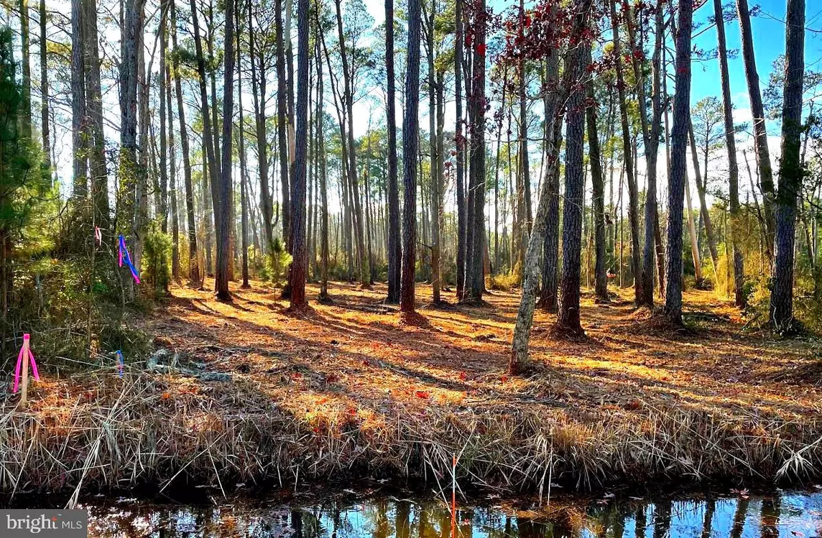 Westover, MD 21871,LOT 5 NEVETTE MUIR RD