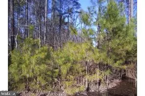 LOT #8 -14TH STREET ESTATES ST, Colonial Beach, VA 22443