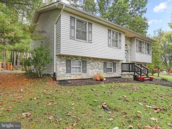 Falling Waters, WV 25419,95 TRAVELLER RD