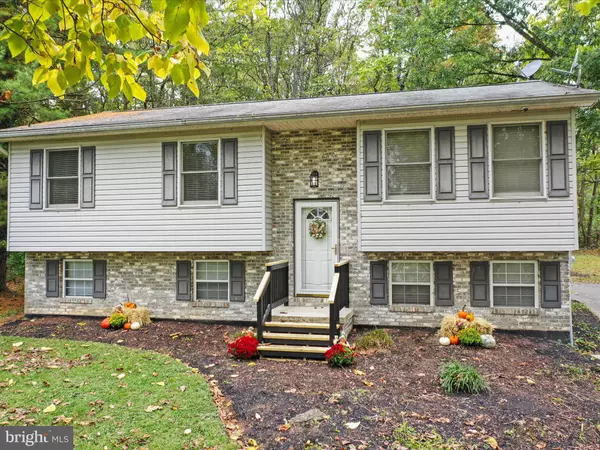 Falling Waters, WV 25419,95 TRAVELLER RD
