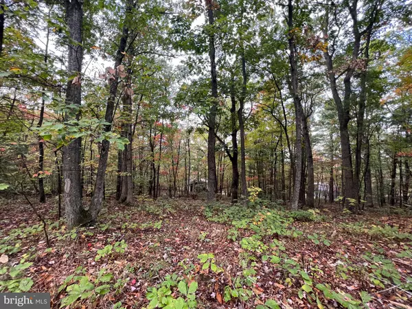 Mount Jackson, VA 22842,SUPINLICK RIDGE RD