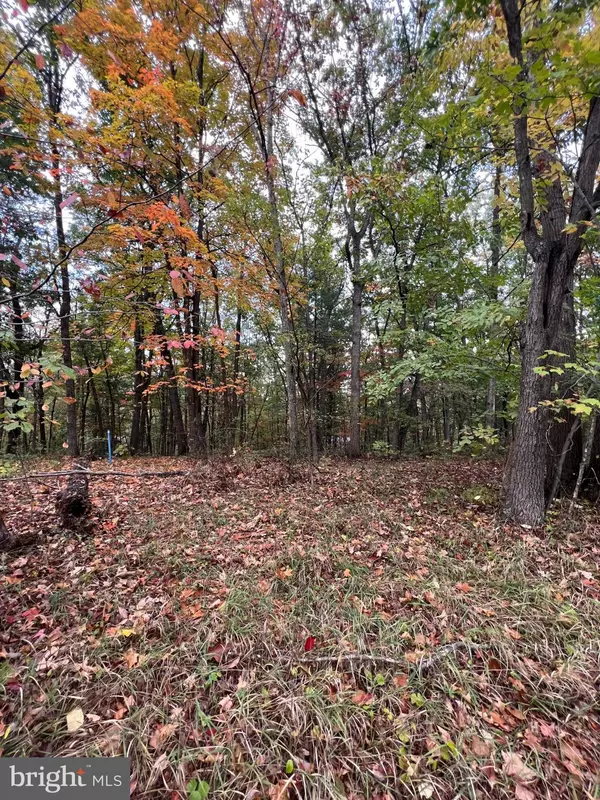 Mount Jackson, VA 22842,SUPINLICK RIDGE RD